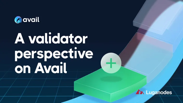 A Validator’s Perspective on the Avail Network